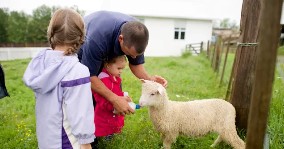 family_feeding_sheep.jpg